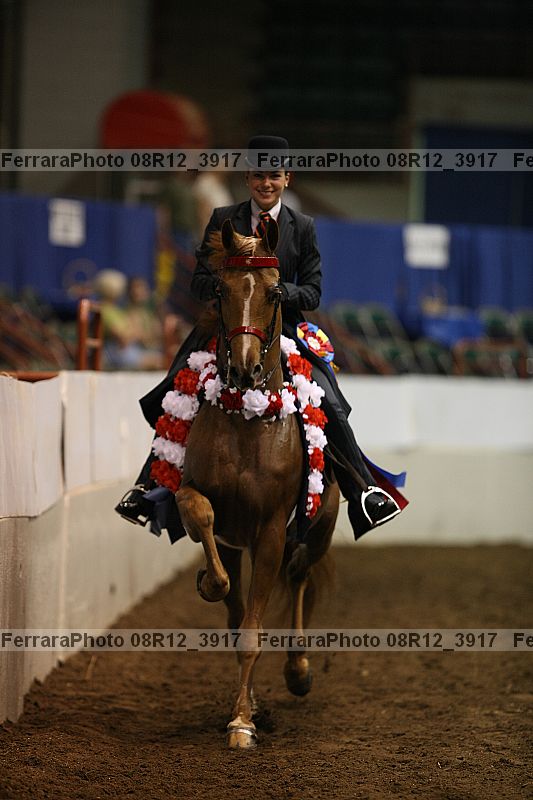 Proof Number 08r12_3917