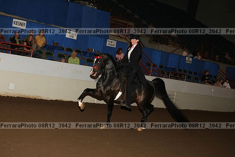 Proof Number 08r12_3942