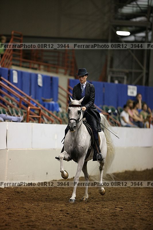 Proof Number 08r12_3944