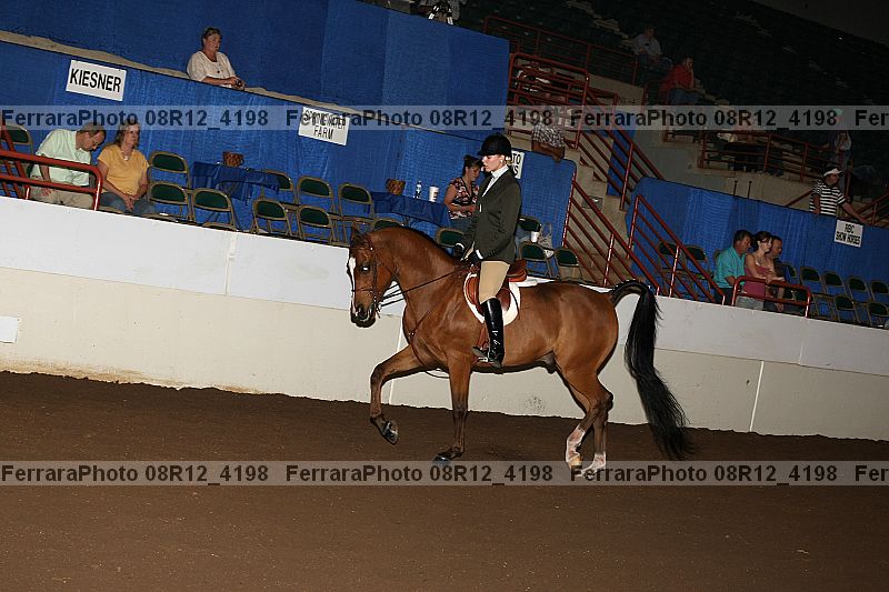 Proof Number 08r12_4198