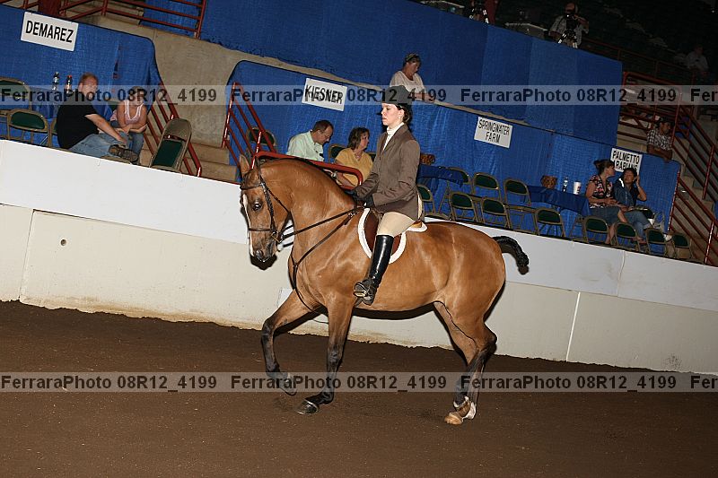 Proof Number 08r12_4199