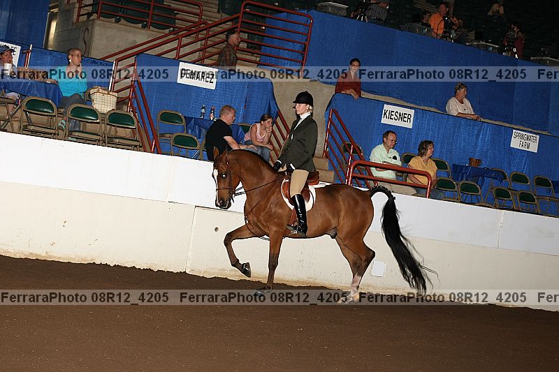 Proof Number 08r12_4205