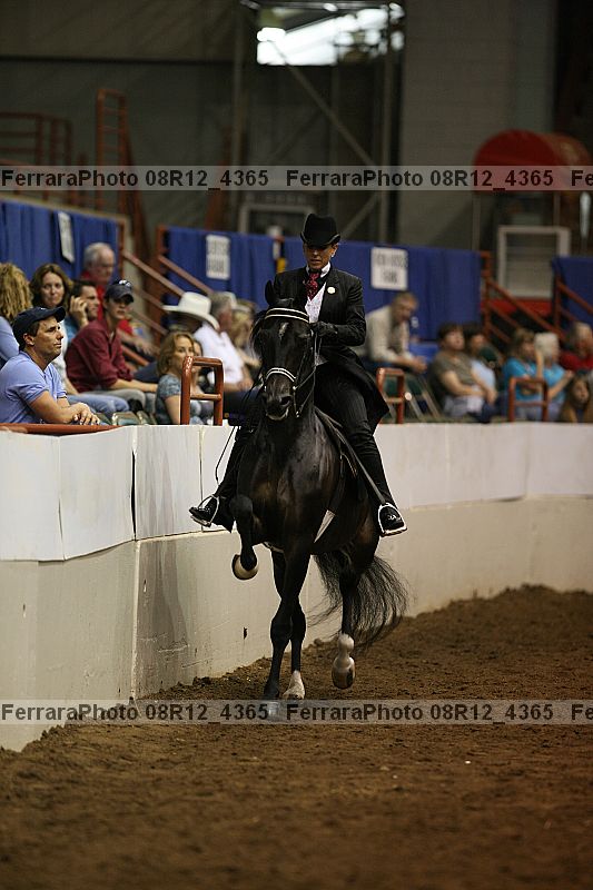 Proof Number 08r12_4365