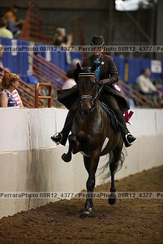 Proof Number 08r12_4377