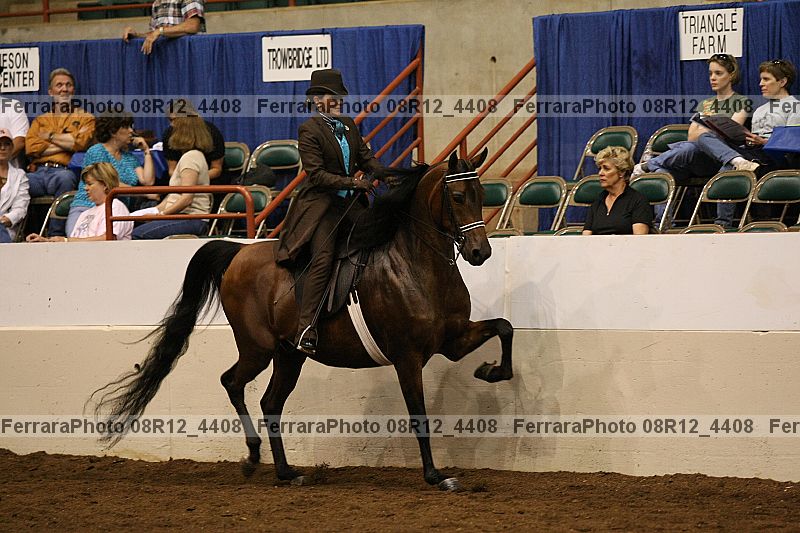 Proof Number 08r12_4408