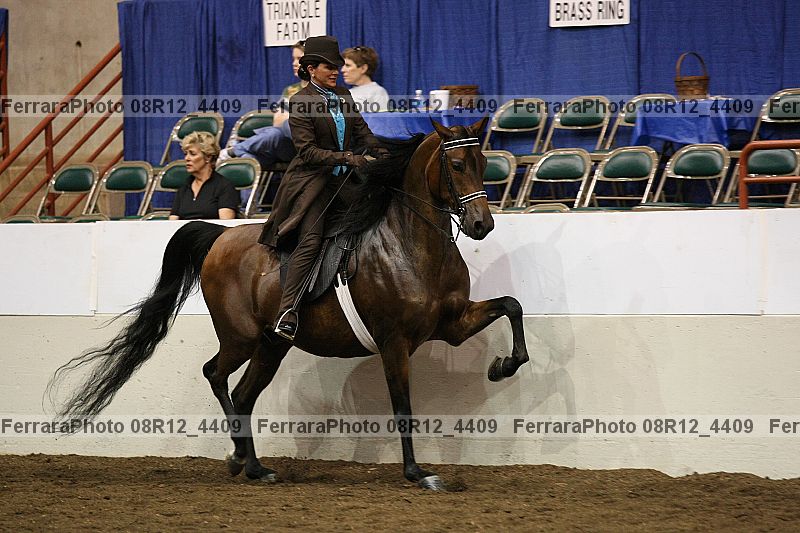 Proof Number 08r12_4409