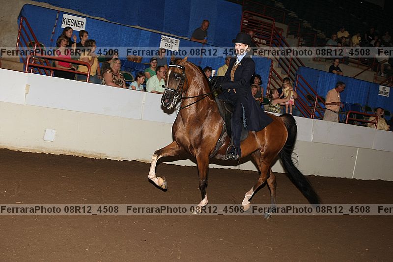 Proof Number 08r12_4508