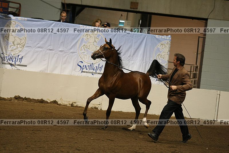 Proof Number 08r12_4597