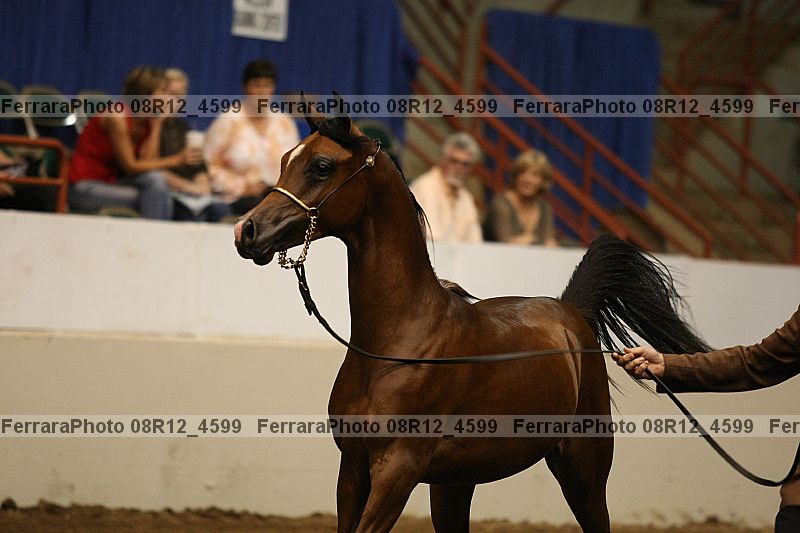 Proof Number 08r12_4599