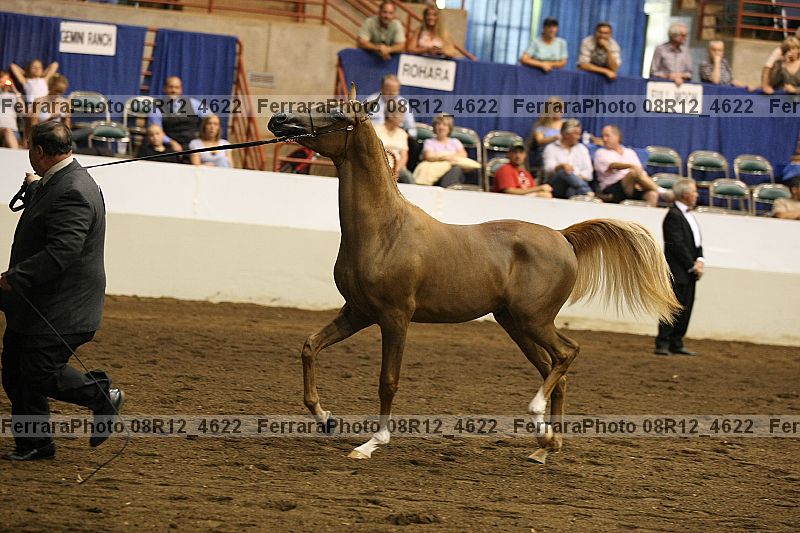 Proof Number 08r12_4622