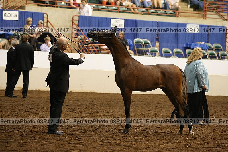Proof Number 08r12_4647