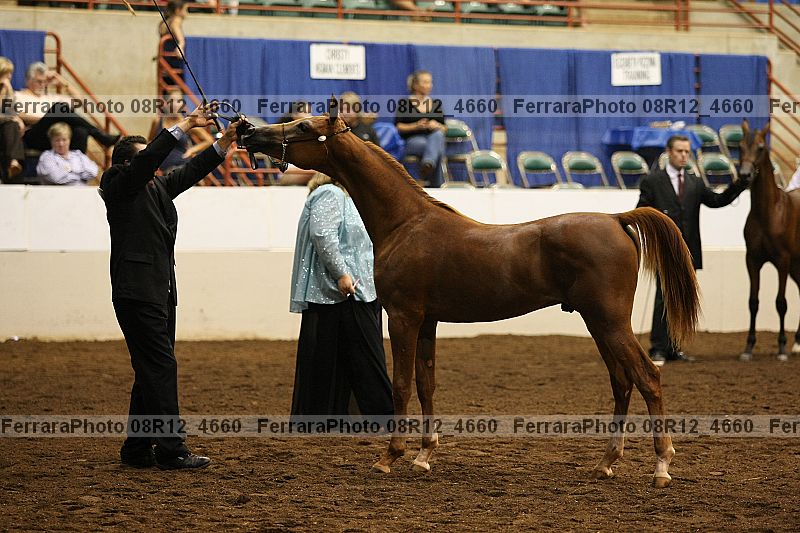Proof Number 08r12_4660