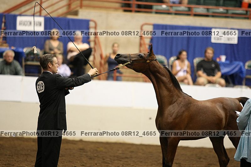 Proof Number 08r12_4665