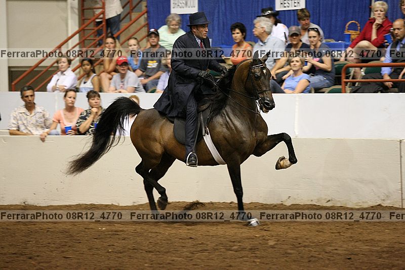 Proof Number 08r12_4770