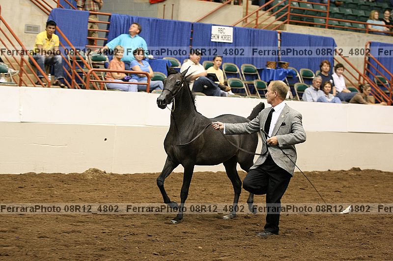 Proof Number 08r12_4802