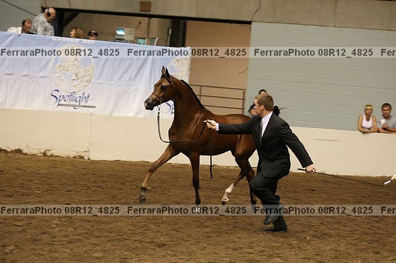 Proof Number 08r12_4825