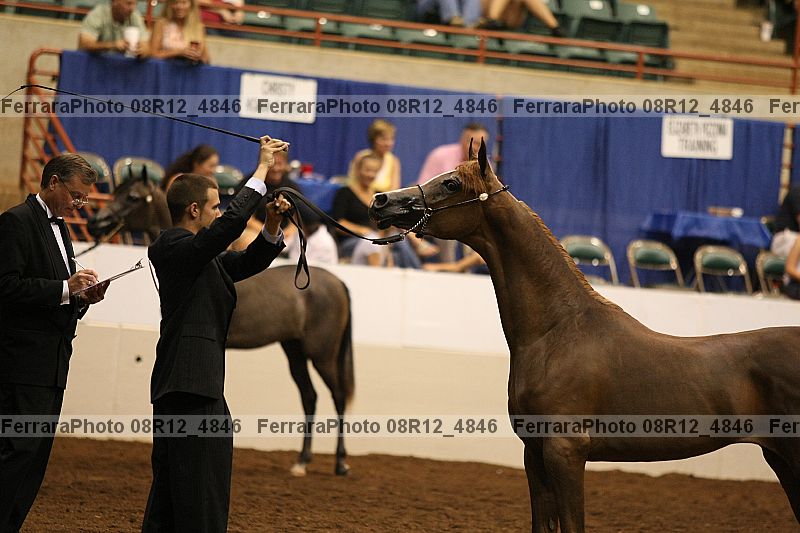 Proof Number 08r12_4846