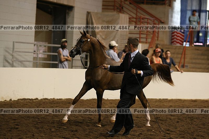 Proof Number 08r12_4847