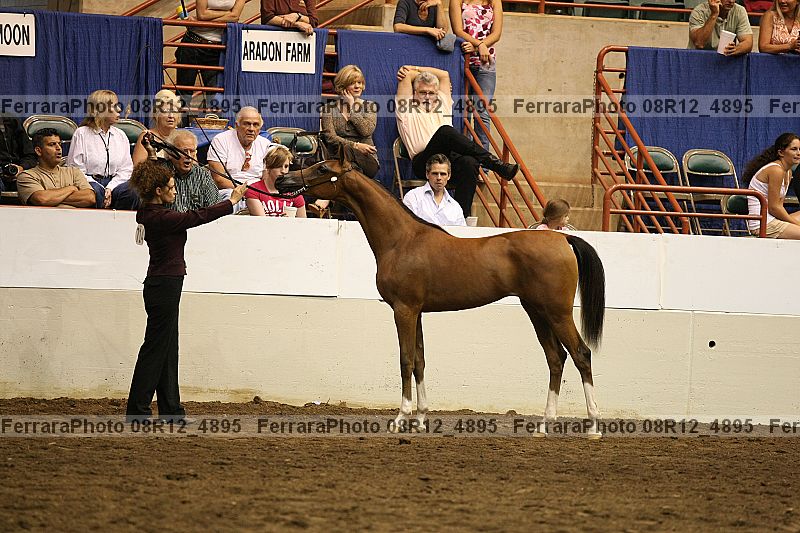 Proof Number 08r12_4895