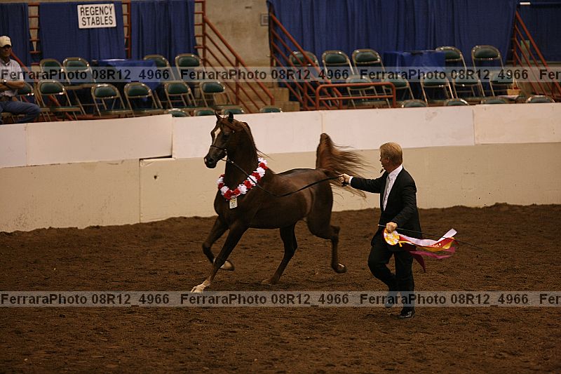 Proof Number 08r12_4966