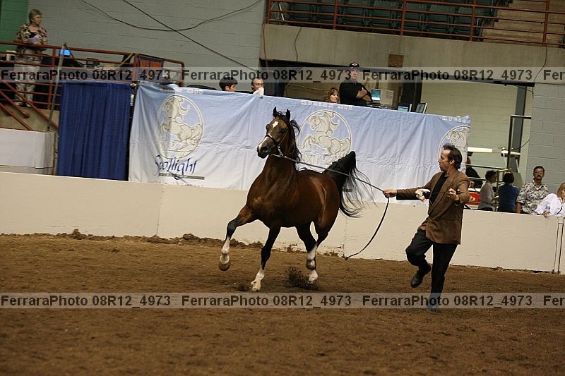 Proof Number 08r12_4973