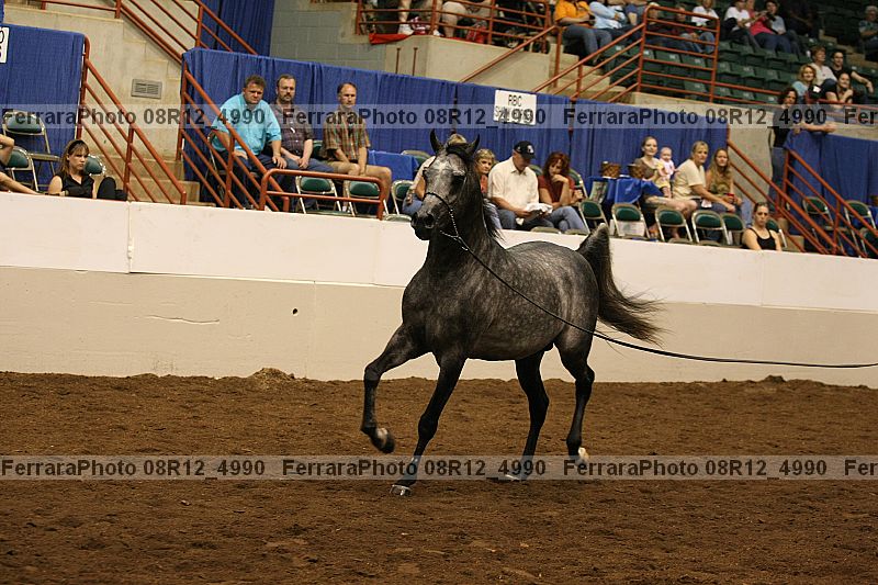 Proof Number 08r12_4990