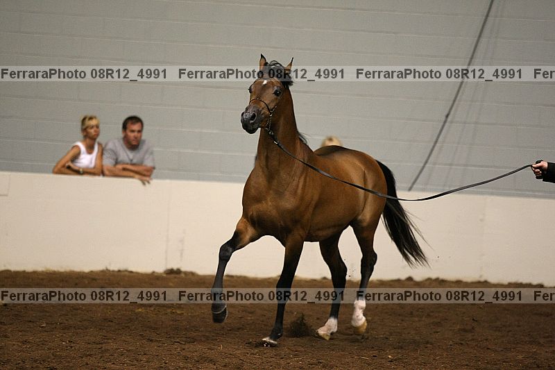 Proof Number 08r12_4991