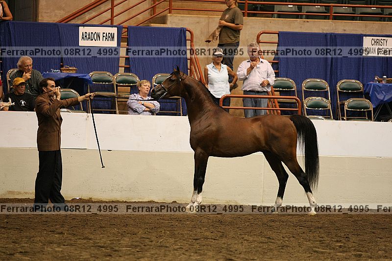 Proof Number 08r12_4995