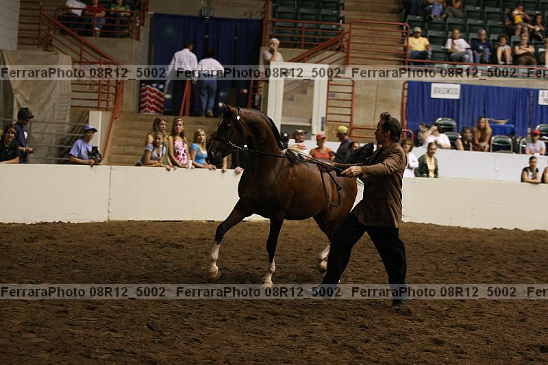 Proof Number 08r12_5002
