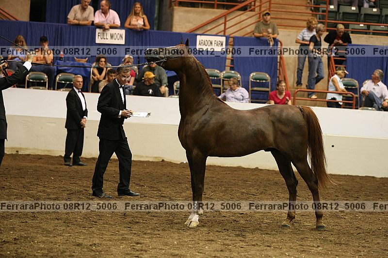 Proof Number 08r12_5006