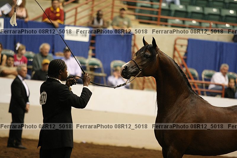 Proof Number 08r12_5018