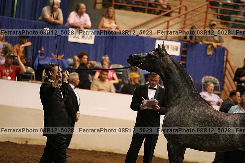 Proof Number 08r12_5028