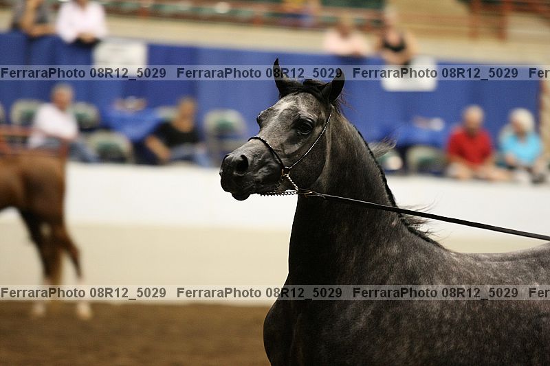 Proof Number 08r12_5029