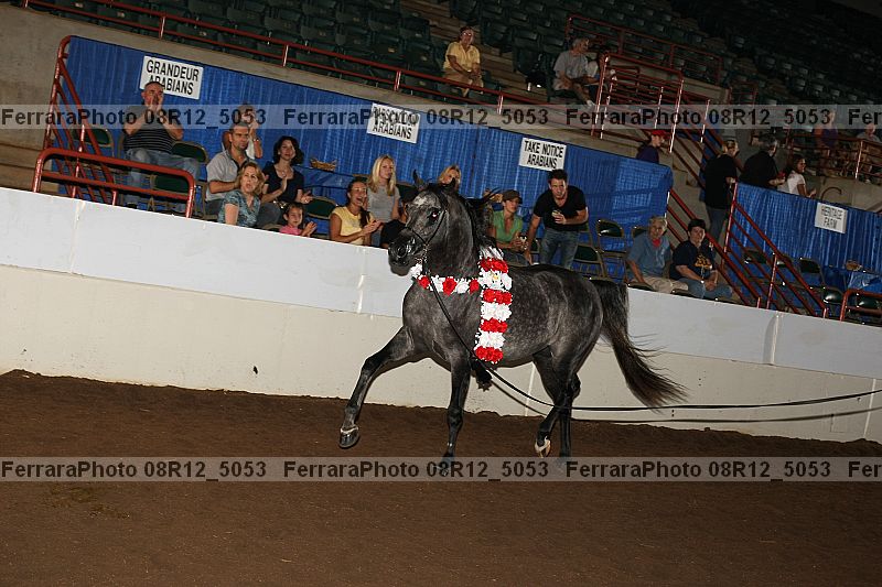 Proof Number 08r12_5053