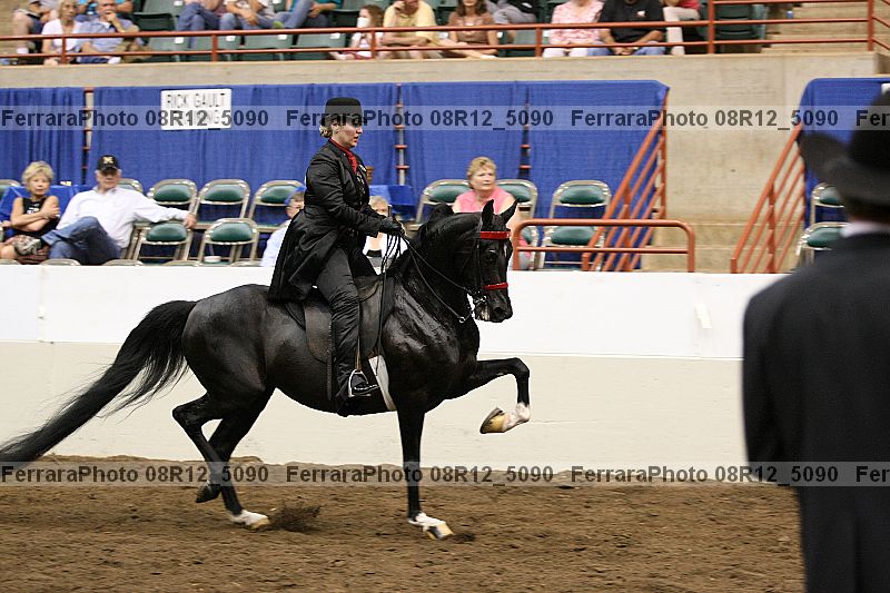 Proof Number 08r12_5090