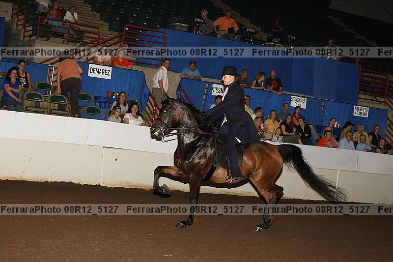 Proof Number 08r12_5127