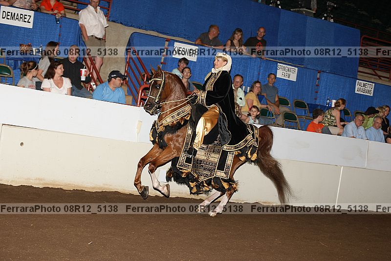 Proof Number 08r12_5138