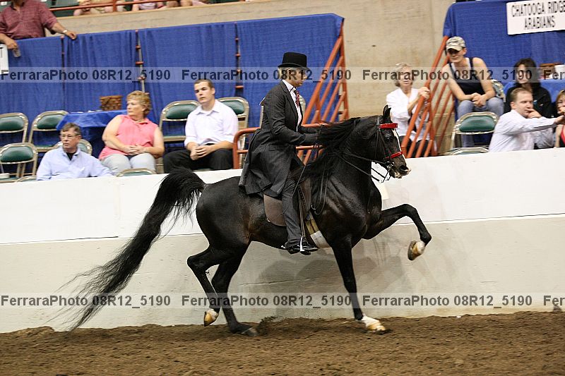 Proof Number 08r12_5190