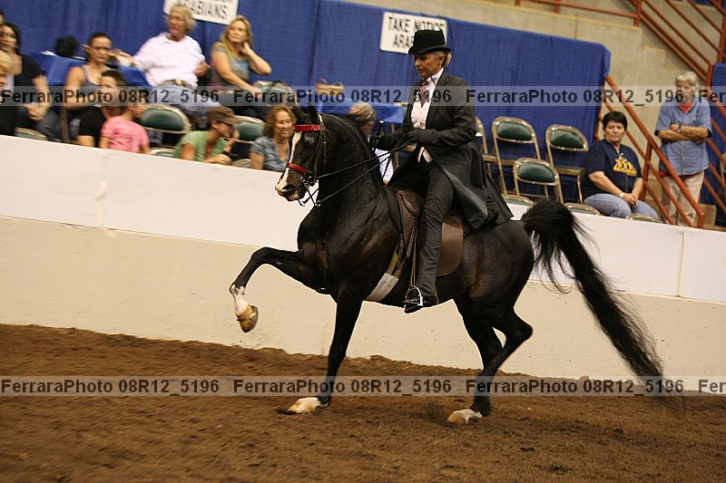 Proof Number 08r12_5196
