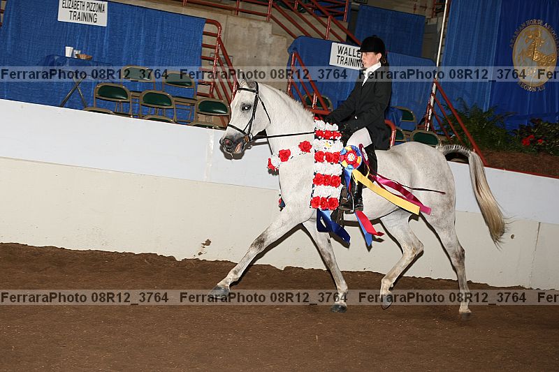 Proof Number 08r12_3764