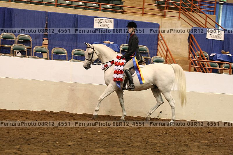 Proof Number 08r12_4551