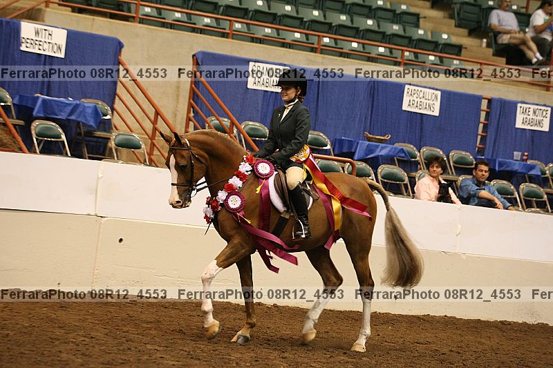 Proof Number 08r12_4553