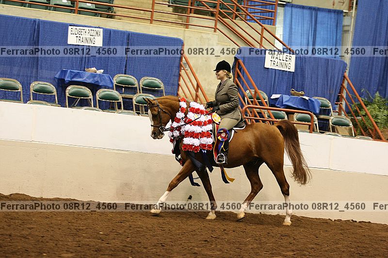 Proof Number 08r12_4560