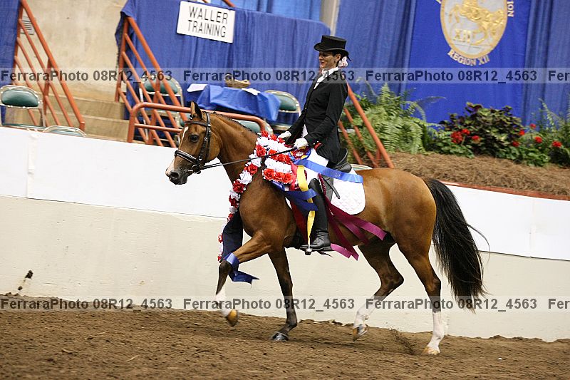 Proof Number 08r12_4563