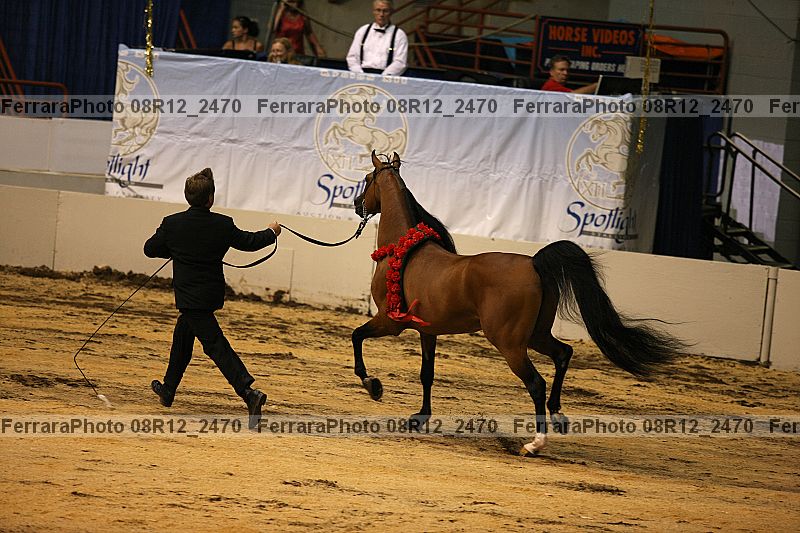 Proof Number 08r12_2470