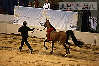 08r12_2470 thumbnail