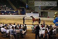 08r12_2473 thumbnail
