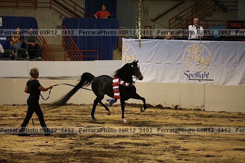 Proof Number 08r12_2492
