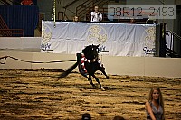 08r12_2493 thumbnail