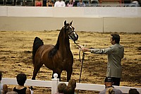 08r12_2496 thumbnail